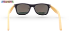 Echo Polarized Leisure