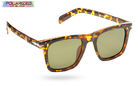 Liam Brown Tortoiseshell Polarized Leisure