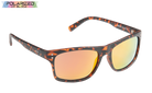 Owen Brown Polarized Leisure